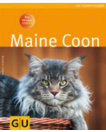 Maine Coon