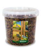 JR Farm Vers de farine dans un seau - 400g