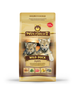 WOLFSBLUT Wild Duck chiots